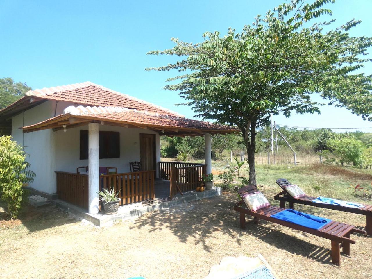 Sunshine Cafe Daire Tangalle Dış mekan fotoğraf